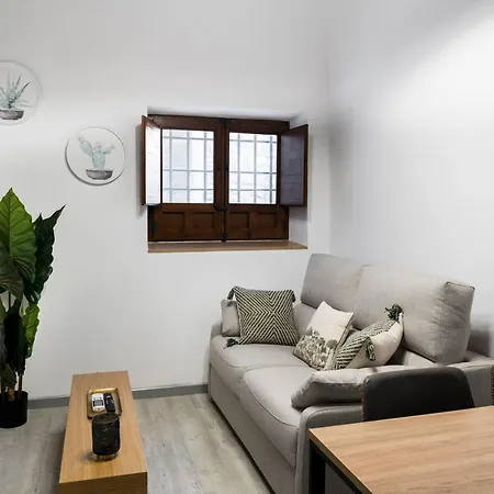 A Dream In Apartment